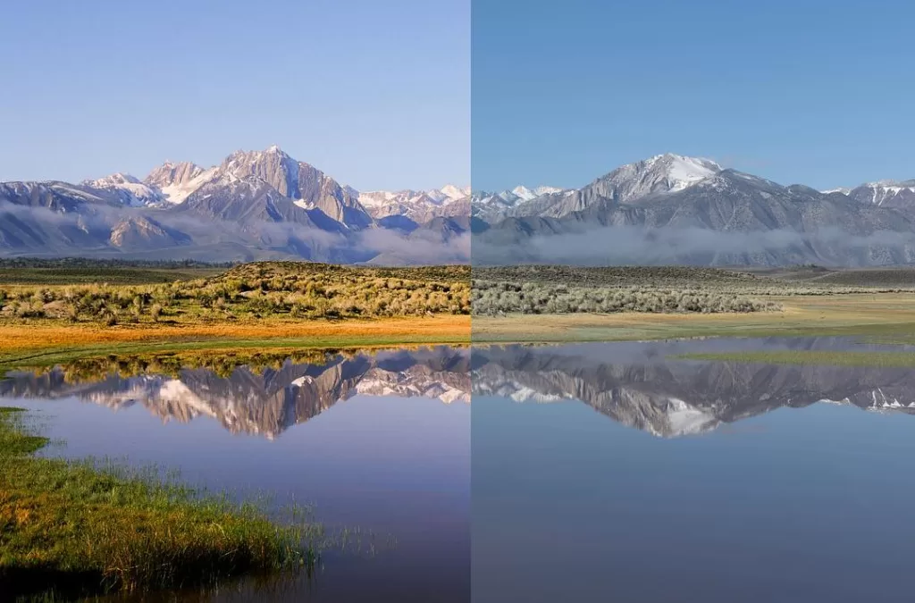 photo-Comparison-Film-vs-Digital