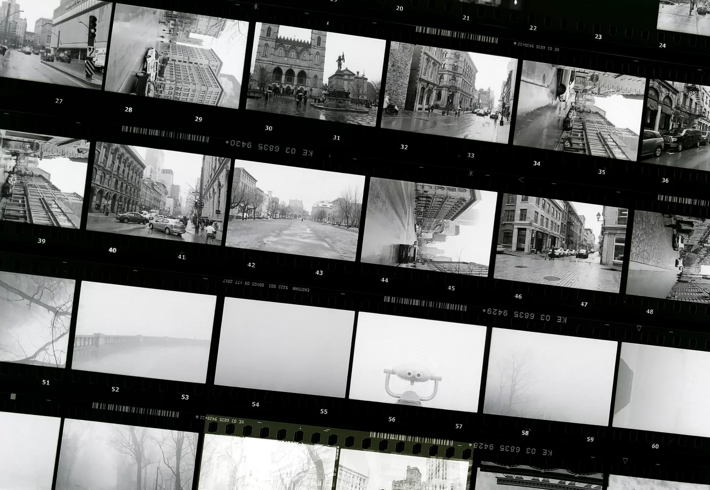 Through the Lens of Time: Why Vintage Photography Is Making a Modern Comeback